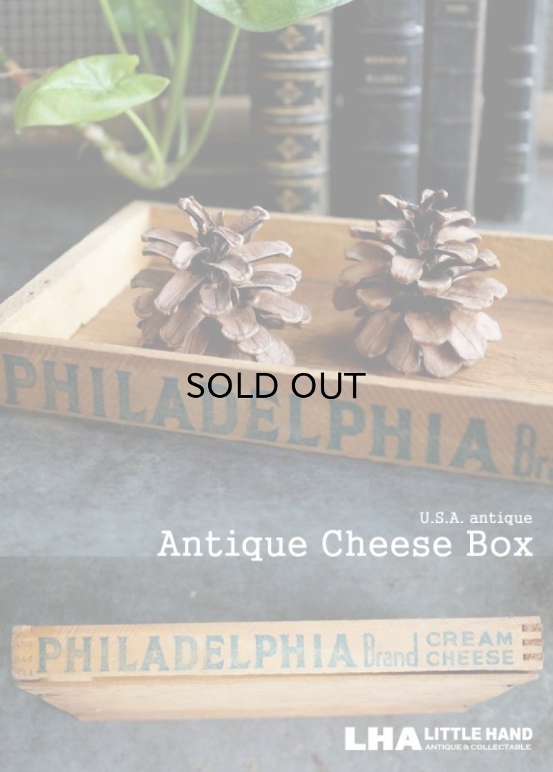 画像1: USA antique PHILADELPHIA 薄型 木製チーズボックス 木箱 1900-1930's