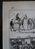 画像4: FRANCE antique ART PAPER  フランスアンティーク 辞書・図鑑の1ページ ［馬レース］ 描画 アンティークアート 1900's