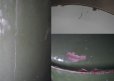 画像8: 【RARE】ENGLAND antique FLOUR BIN イギリスアンティーク 渋いダークグリーン 大きな ホーロー フラワー缶 花文字・リベット留め ラージサイズ FLOUR 1920's