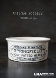 画像1: ENGLAND antique SPRINGFIELD H3.9cm イギリスアンティーク 陶器ジャー ミートポット ミートペーストジャー 1900's (1)