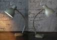 画像2: BELGIUM antique ベルギーアンティーク インダストリアル ERPE デスクランプ グースネック 工業系 ライト 照明 ヴィンテージランプ 1930-50's (2)
