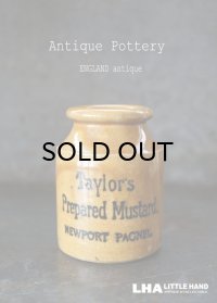 ENGLAND antique イギリスアンティーク TAYLOR'S マスタード 陶器ポット（Sサイズ） 陶器ボトル 1900's