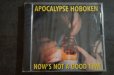 画像1: APOCALYPSE HOBOKEN / NOW'S NOT A GOOD TIME  CD (1)