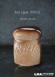 画像1: ENGLAND antique イギリスアンティーク HOVIS ホーヴィス 陶器製 シュガーポット ヴィンテージ 1970-80's (1)
