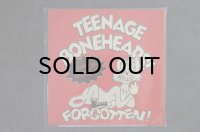 TEENAGE BONEHEADS! Fucking gone and completely...Forgotten! (I HATE SMOKE盤)   CD