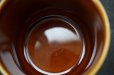 画像7: ENGLAND antique HORNSEA 【HEIRLOOM】 イギリスアンティーク ホーンジー エアルーム オータムブラウン カップ＆ソーサー＆ティープレート・ケーキプレート トリオ C&S ヴィンテージ 1970-80's