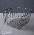 画像1: U.S.A. antique Wire Basket アメリカアンティーク ナンバータグ付き ワイヤーバスケット ワイド型 ヴィンテージ 1950-70's  (1)
