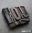 画像1: U.S.A. antique Letterpress 10cs アメリカアンティーク 木製プリンターブロック 10個セット H7.5cm〜H3.4cm  ヴィンテージ スタンプ ビンテージ はんこ 1900-60's  (1)