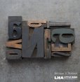 画像2: U.S.A. antique Letterpress 10cs アメリカアンティーク 木製プリンターブロック 10個セット H6.4cm〜H3.4cm  ヴィンテージ スタンプ ビンテージ はんこ 1900-60's  (2)