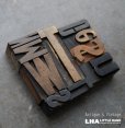 画像1: U.S.A. antique Letterpress 10cs アメリカアンティーク 木製プリンターブロック 10個セット H8.5cm〜H3.4cm  ヴィンテージ スタンプ ビンテージ はんこ 1900-60's  (1)