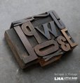 画像1: U.S.A. antique Letterpress 10cs アメリカアンティーク 木製プリンターブロック 10個セット H7.5cm〜H3.4cm  ヴィンテージ スタンプ ビンテージ はんこ 1900-60's  (1)