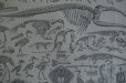 画像3: FRANCE antique ART PAPER  フランスアンティーク 辞書・図鑑の1ページ ［恐竜・古生物学］ 描画 アンティークアート 1900's (3)