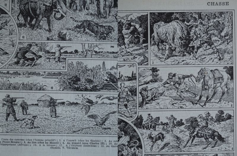 画像3: FRANCE antique ART PAPER  フランスアンティーク 辞書・図鑑の1ページ ［狩猟］ 描画 アンティークアート 1900's
