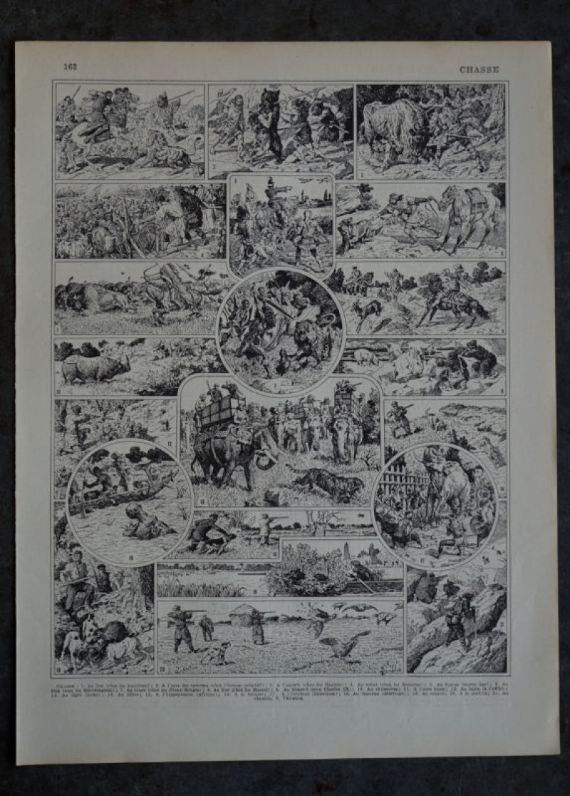 画像1: FRANCE antique ART PAPER  フランスアンティーク 辞書・図鑑の1ページ ［狩猟］ 描画 アンティークアート 1900's