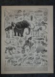 画像1: FRANCE antique ART PAPER  フランスアンティーク 辞書・図鑑の1ページ ［古生物学］ 描画 アンティークアート 1900's (1)