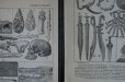 画像3: FRANCE antique ART PAPER  フランスアンティーク 辞書・図鑑の1ページ ［先史時代］ 描画 アンティークアート 1900's (3)