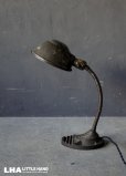 画像1: U.S.A. antique EAGLE LAMP アメリカアンティーク インダストリアル デスクランプ イーグル グースネック 工業系 ライト 照明 ヴィンテージランプ 1940-60's (1)