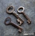 画像1: ENGLAND antique KEYS 3pcs イギリスアンティークキー ヴィンテージキー 小さな鍵 3本セット ヴィンテージ  1900-50's (1)