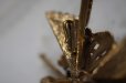 画像4: U.S.A .antique COROCRAFT Brooch アメリカアンティーク コロクラフト CORO ブローチ コスチュームジュエリー ヴィンテージ ブローチ 1950-80's 