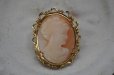 画像3: SALE【30%OFF】ENGLAND antique Brooch イギリスアンティーク ブローチ カメオ アクセサリー ヴィンテージブローチ コスチュームジュエリー 1960-80's  (3)