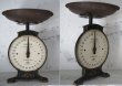画像2: ENGLAND antique 渋い SALTER キッチンスケールno.46 1900-30's  (2)