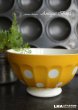 画像1: FRANCE antique 水玉・ドット柄 カフェオレボウル DIGOIN製 1950-60's (1)