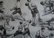 画像7: FRANCE antique ART PAPER  フランスアンティーク 辞書・図鑑の1ページ ［戦い］ 描画 アンティークアート 1900's (7)