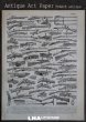 画像1: FRANCE antique ART PAPER  フランスアンティーク 辞書・図鑑の1ページ ［ライフル・銃］ 描画 アンティークアート 1900's (1)