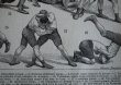 画像8: FRANCE antique ART PAPER  フランスアンティーク 辞書・図鑑の1ページ ［戦い］ 描画 アンティークアート 1900's (8)