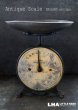 画像1: ENGLAND antique イギリスアンティーク IZONS FAMILY SCALE キッチンスケール はかり 1920-30's  (1)