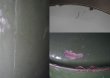 画像8: 【RARE】ENGLAND antique FLOUR BIN イギリスアンティーク 渋いダークグリーン 大きな ホーロー フラワー缶 花文字・リベット留め ラージサイズ FLOUR 1920's (8)