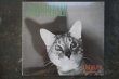 画像1: JAWBREAKER / UNFUN  CD (1)