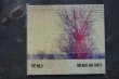 画像1: THE WILD  / DREAMS ARE MAPS  CD  (1)