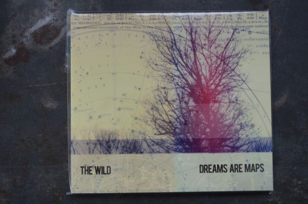 画像1: THE WILD  / DREAMS ARE MAPS  CD  (1)