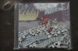 画像2: GHOST MICE /  ALL WE GOT IS EACH OTHER+DEATH AND HATRED TO MANKIND  CD  (2)