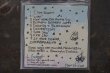 画像2: GARRETT WALTERS  / I CALL MY YOUNGER SISTER TWICE A DAY CD  (2)