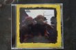 画像1: CAPTAIN CHAOS /  This is Cake  CD (USED) (1)