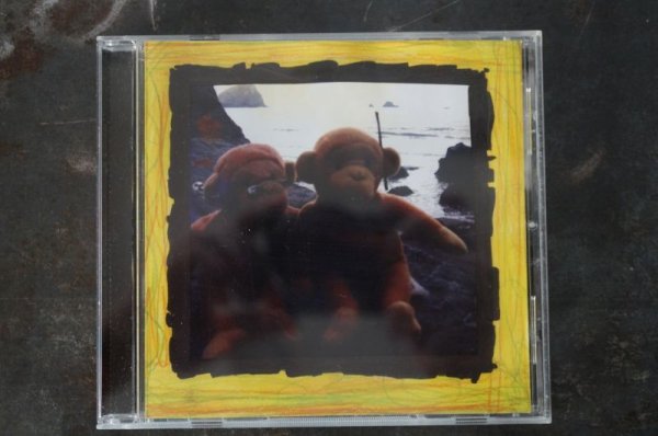 画像1: CAPTAIN CHAOS /  This is Cake  CD (USED) (1)