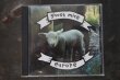 画像1: GHOST MICE /  europe CD （USED) (1)