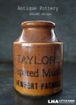 画像1: 【RARE】ENGLAND antique イギリスアンティーク TAYLOR'S マスタード 陶器ポット（Lサイズ） H13cm 陶器ボトル 1900's
