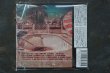 画像2: SONIC SURF CITY /EPICO! 　CD　 (2)