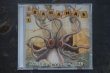 画像1: THE BANANAS / NAUTICAL ROCK N ROLL  CD  (1)