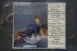 画像2: THE BANANAS / NAUTICAL ROCK N ROLL  CD  (2)