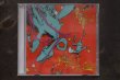 画像1: SOOPHIE NUN SQUAD  /PASIZZLE ,SLIZZLES ,THE DRIZZLE CD  (1)