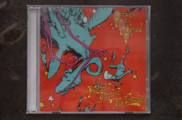画像1: SOOPHIE NUN SQUAD  /PASIZZLE ,SLIZZLES ,THE DRIZZLE CD  (1)