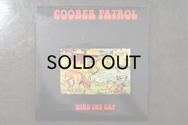 画像1: GOOBER PATROL / MIND THE GAP   CD  (1)