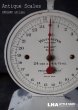 画像1: ENGLAND antique イギリスアンティーク WAYMASTER DIETARY SCALES スケール 1950's ウェイマスター はかり (1)
