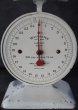 画像7: ENGLAND antique イギリスアンティーク WAYMASTER DIETARY SCALES スケール 1950's ウェイマスター はかり (7)