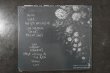 画像2: ERICA FREAS   / PATIENT ONES　CD  (2)