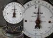 画像3: ENGLAND antique イギリスアンティーク SALTER POSTAL SCALE ポスタルスケール no.25 はかり 1920's  (3)